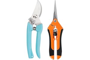 ABAJI Gardening Scissor 2 Set with Sharp Stainless Steel Blade Garden Shears for Cutting Flowers Trimming Plants of Yard Florist Flower Rose Herb Hedge Bonsai and Fruits Picking
