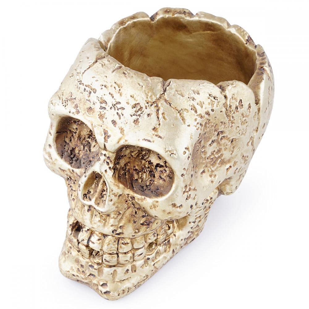 Gelory Skull Head Flower Pot Resin Skull Planter Container Plant Bowl Ornaments Candy Bowl Home Decoration