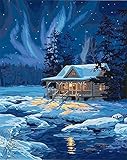 DIY Oil Painting Newsight Paintworks Paint By Number for Kids and Adults (Moonlit Cabin)
