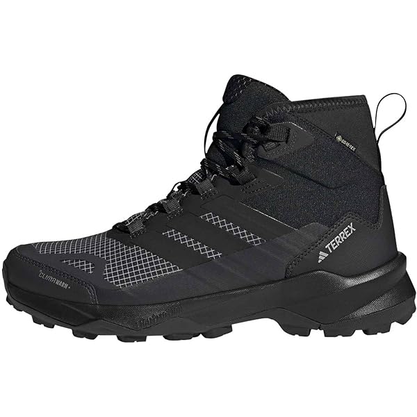 Amazon.com | adidas Women's BC0590 Terrex AX3 Mid Gore-Tex