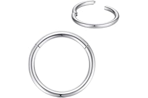 FOLLOWMOON 316L Surgical Steel Nose Rings Hoop Septum Clicker Hinged Segment Ring Lip Ear Piercing Earrings for Cartilage Helix Tragus Conch Rook 20g 18g 16g 14g 12g 10g 8g,Inner Diameter 5mm to 22mm