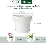 T4U 16CM Plastic Plant Pots 6-Pack with Saucers White Indoor Outdoor view 4
