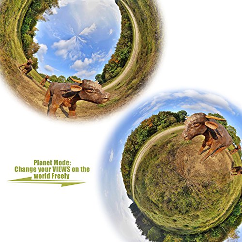 JoyPlus-360-Sports-Video-VR-Cameras-Spherical-Panorama-with-Micro-SD-Card