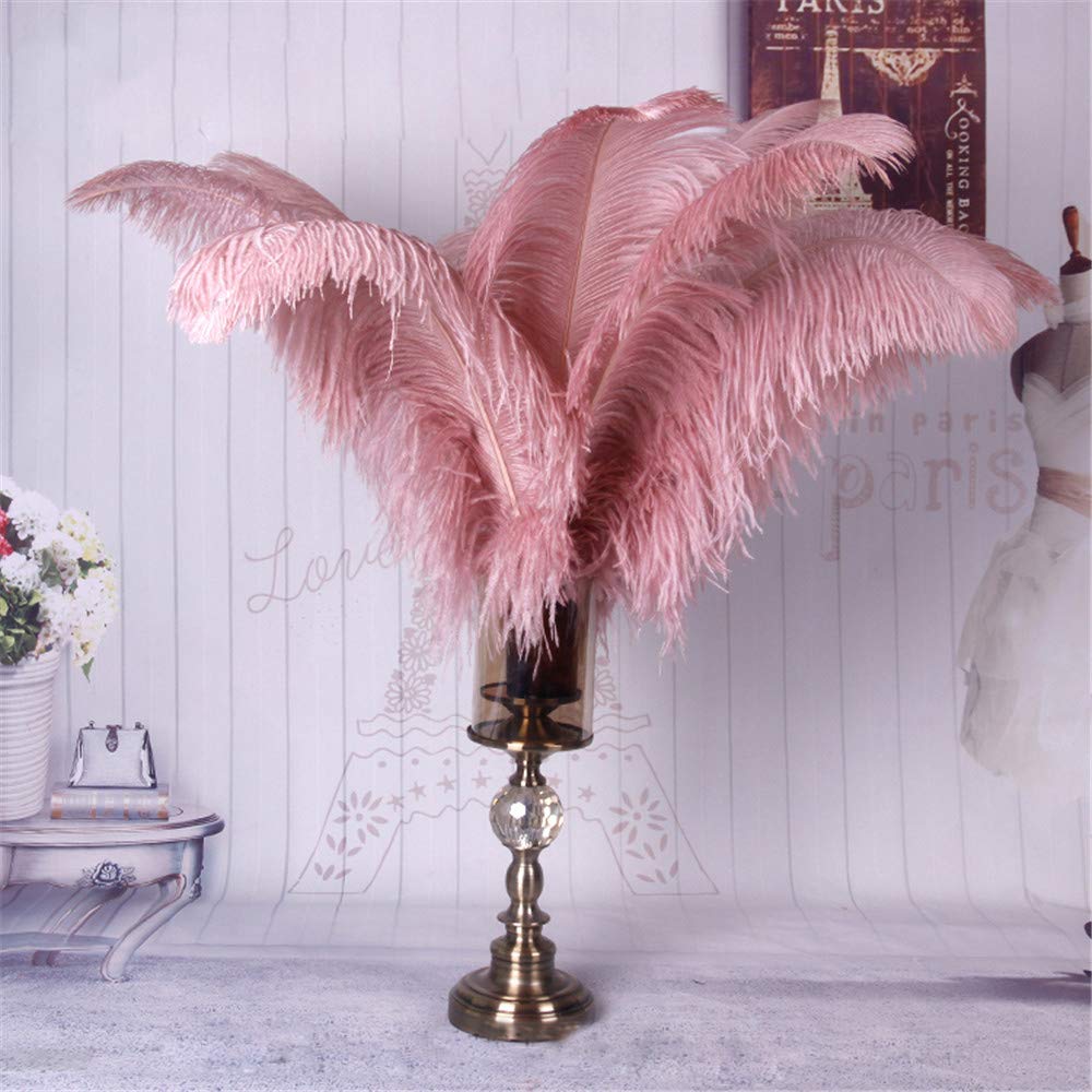Dyed Large Ostrich Feathers Plume DIY Wedding Party Table Christmas Carnival Decorations Centerpiece Millinery 16-18" / 40-45 cm length (Dusky Pink, 5 Piece)