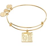 Alex and Ani LOVE' Pave Paw Print Charm Bangle Bracelet
