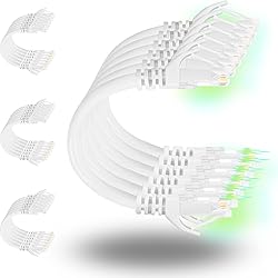 Rapink Patch Cables Cat6 1ft (24 Pack), Ethernet