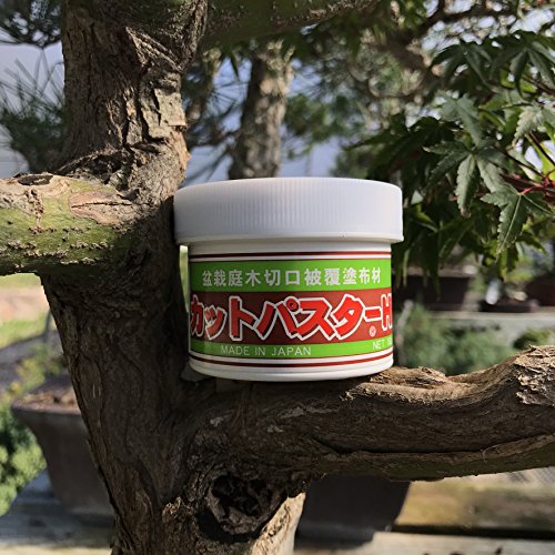 Japanischer Mastix, Heilpaste speziell für Bonsai-Laubbäume, 160 g – Bild 4