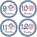 Mermaid Monthly Baby Stickers, Girls Bodysuit Stickers Infant Month Stickers, Great Shower Excellent Baby Photo Props, 12 Pieces