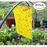 JTHM High Effect Dual-sided Yellow Sticky Fly Traps Whitefly, for Leaf Miner, Aphids, Fungus, Gnats, Mosquitoes &amp; Other Flying Insects ( 20pcs)