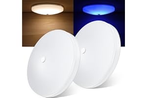 Obeaming 2 Pack RV Interior Ceiling Dome Light 4.5 Inch, Press Dimmer Switch & Blue Nightlight,12V Dimmable Puck Light for Motorhome Trailer Fifth Wheel Truck Coach Enclosed Trailer(4000K)