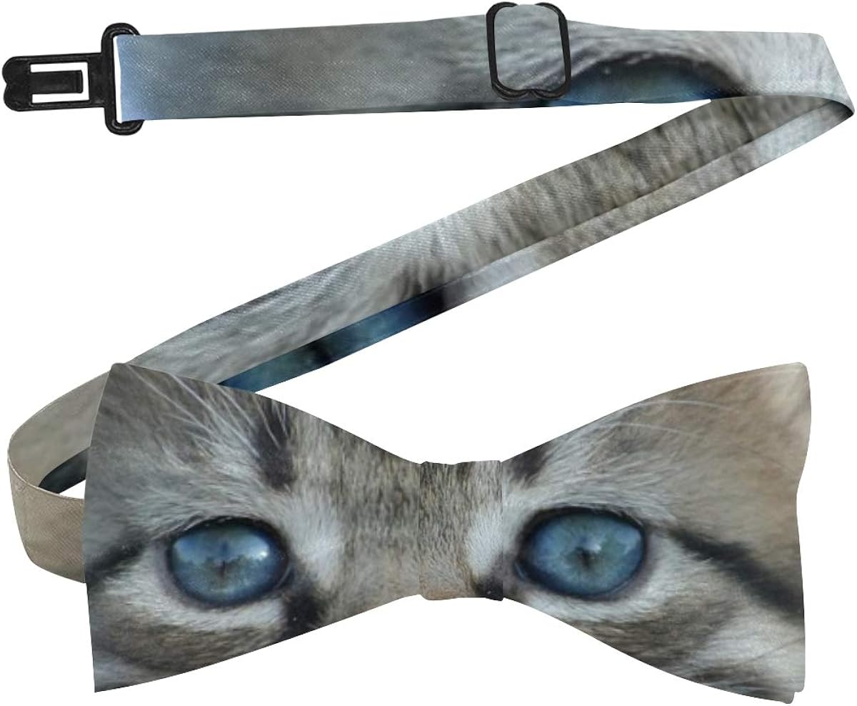 Pretied Bow Tie Animal Cat Kitten Pets Domestic Cat Tabby