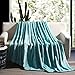 LBRO2M Fleece Bed Blanket Queen Size Super Soft Warm Fuzzy Velvet Plush Throw Lightweight Cozy Couch Blankets ((90x90 Inch) Turquoise