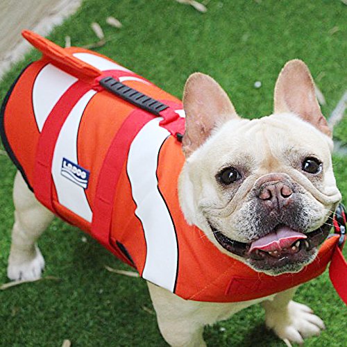 Hifrenchies Dog Life Jacket Shark Swimming Vest Pet Safety Swimsuit Floatation Life Vest for French Bulldog (M, Clown Fish)