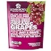 Freeze Dried Grape Snack by Homegrown Organic Farms – Organic Non-GMO Freeze-Dried Grape Chips – All-Natural Vegan Freeze Dried Fruit 1.2 oz