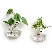 Mkono 2 Pack Glass Wall Hanging Planter Wall Mounted Plant Vase Indoor Air Plants Terrariums for Home Office Living Room Deco