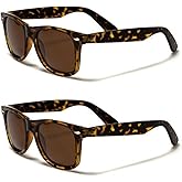 Retro Rewind Classic Polarized Sunglasses