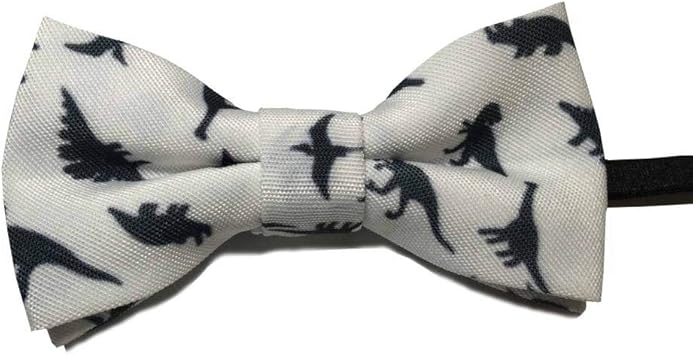 SNZHANG Corbata Pajarita de Dinosaurio para niños Pajarita Linda para niños pajarita-003: Amazon.es: Deportes y aire libre