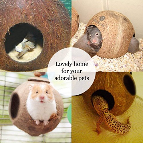 SunGrow Hermit Crab Hut Cozy Crabitat Coconut Shell with Hanging Loop