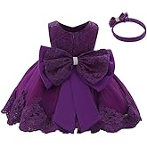 Baby Girl Lace Tutu Dress Infant Toddler Wedding Flower Girl Dress First Birthday Formal Pageant Christening Dresses