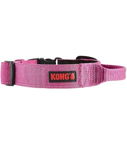 Amazon.com : KONG Ultra Durable Padded Comfort Handle Dog Collar