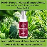 Evanmore Cedarwood Oil Moth Repellent 100 ml Natural Safe Spray view 2