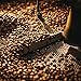 Café Britt® - Costa Rican Tres Rios Valdivia Coffee (12 oz.) - Whole Bean, Arabica Coffee, Kosher, Gluten Free, 100% Gourmet & Medium Light Roast (1 Year Shelf-Life)