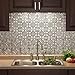 FASÄDE Traditional Style/Pattern 1 Decorative Vinyl Backsplash Panel in Brushed Aluminum (One 18