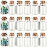 CRASPIRE 24Pcs Small Glass Bottles with Cork