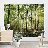 UHUSE Morning Sunshine Through Trees Tapestry-Summer Woodland Decor Tapestry Forest Foliage Sunlight Fresh Wall Hanging for Bedroom Living Room Dorm(59X79 Inches)