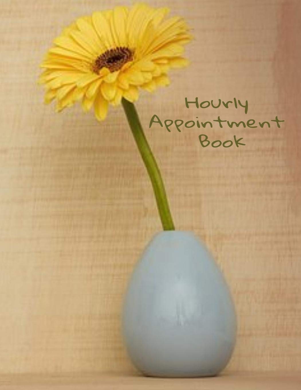 Amazon Com Hourly Appointment Book Hair Stylist Undated 52 Week