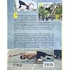 Power Calisthenics: Das Bodyweight-Training für maximale Muskelkraft, Beweglichkeit und Schnelligkeit – mit über 100 Übungen