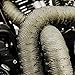 Duramake 2” X 50' Titanium Exhaust Header Heat Shield Wrap Motorcycle Pipe Insulation Roll With Stainless Steel Zip Ties