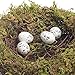 MomokoPeng Set of 2 Spring Bird Nests with Eggs，Twig Bird Nest Decorative Ornament with Clip(Green Bird's Nest)