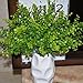 Helen Zora Artificial Flower Green Tree Branch Eucalyptus Leaves for Home Office Party Decor Wedding Scene Setting