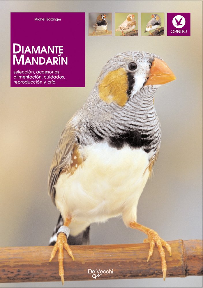 Amazon Com Diamante Mandarin Animales Spanish Edition Dr Bolzinguer Michel Books