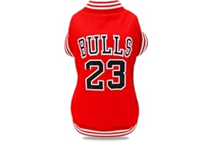 SCHEPPEND Dog Clothes Basketball Mesh Breathable T-Shirt,Pet Clothes Puppy Sportswear Spring/Summer Fashion Dog Shirt. (Red, X-Large)