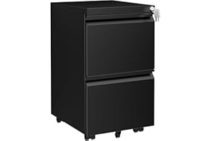 LVSTEEL Metal Mobile File Cabinet with Lock and 4 Keys - Fully Assembled, Under Office Desk 2 Drawers Filing Cabinet for Home Office with Anti-tilt Wheels, A4/Legal/Letter Hanging File Drawers