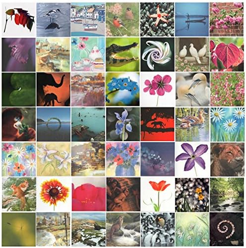 40 Great Value greetings cards - blank inside for your own message