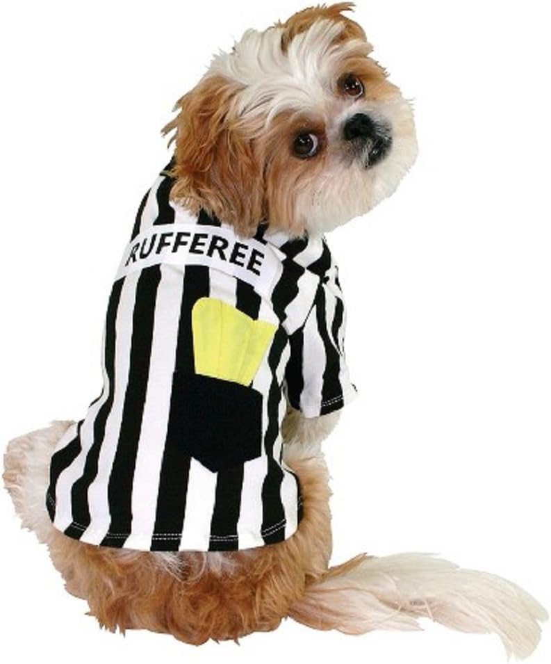 maltese german shepherd mix