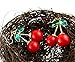 18K Gold Plated Vintage Red Big cherry Charm& Green Crystal Leaf Women Hook Dangle Drop Earrings