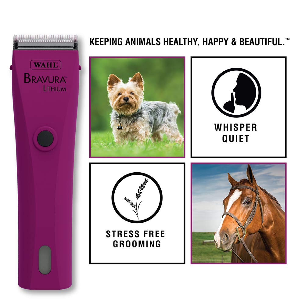 wahl professional animal motion pet