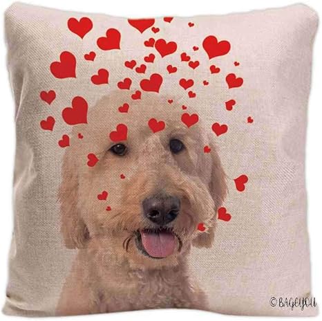 picture Goldendoodle Pillow Cover amazon com