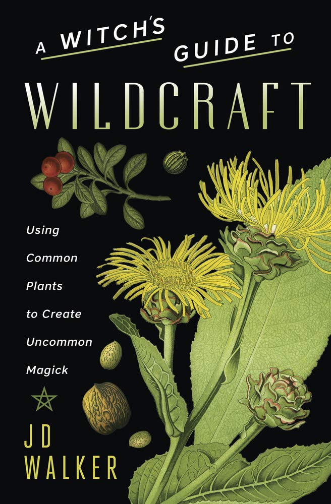 wildcraft herbs