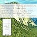 Natural & Organic Deodorant For Men & Women - Hand Made in USA - Vegan & Cruelty Free - Aluminum Free & High Performance - Clean & Healthy Ingredients that Work! 3.1 Ounce [Lemongrass Peppermint]