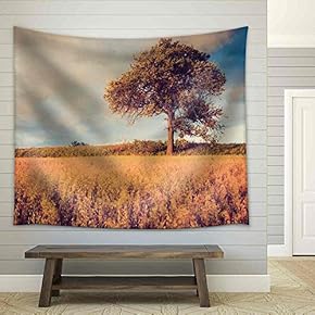 Beautiful Countryside Landscape. Vintage Photo of Corn Field at Summer. - Fabric Wall Tapestry Home Decor - 51x60 inches