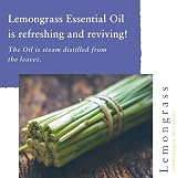 Absolute Aromas Lemongrass Essential Oil 10 ml 100% Pure Natural Steam Distilled view 2