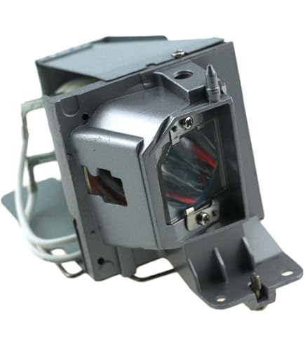 Amazon.com: Woprolight SP.8VH01GC01 Projector Replacement Lamp
