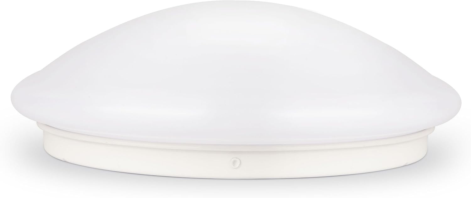 LumenBasic Camper Dome Light LED - High Power White Light Downlight - 12v 12 Volt - Fixed Mount for RV, Boat, Trucks and Aircraft 12watts