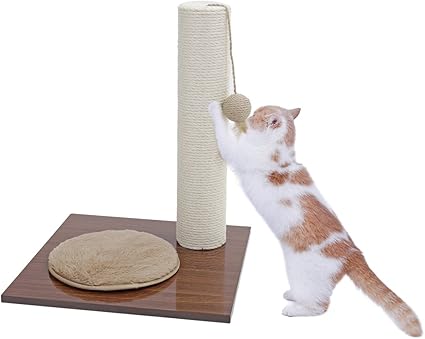 Pawz Road Arbre à Chat Avec Poteaux à Griffer Et Coussin