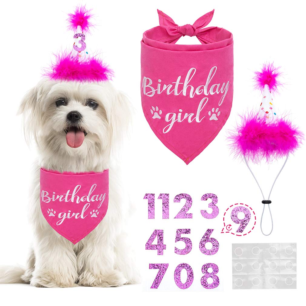 BINGPET Dog Birthday Bandana Scarf and Reusable Hat with 0-8 Figures,Cute Puppy Dog Birthday Outfit Party Supplies Gift for Small Medium Large Dogs Girl